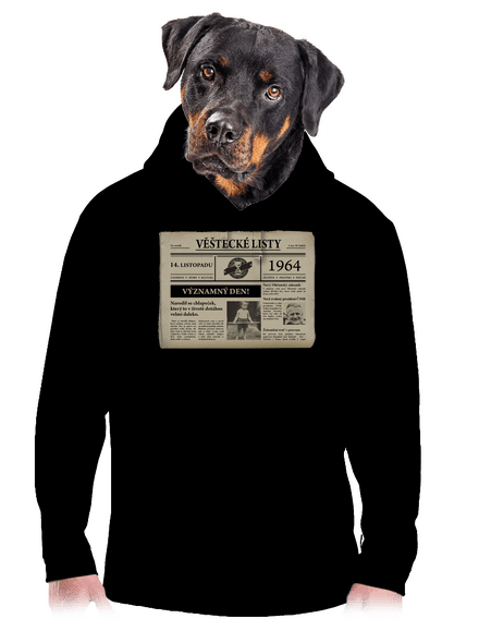 Věštecké listy pánská mikina klokanka Black