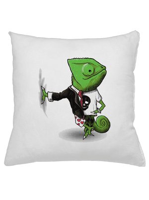 Mistr převleků polštář White