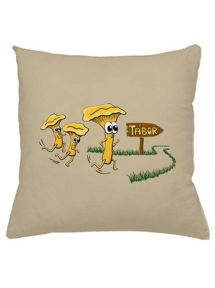 Běží lišky k Táboru polštář Beige