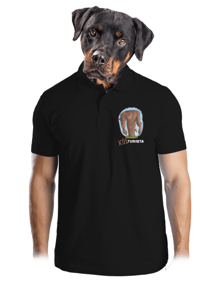 Kůlturista pánská polokošile Black