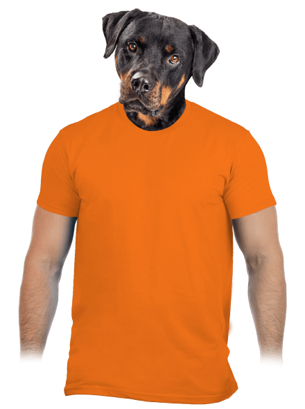 Bez potisku pánské tričko Orange