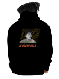 pánská mikina na zip