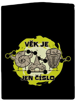 Věk je jen číslo dámská mikina na zip Black