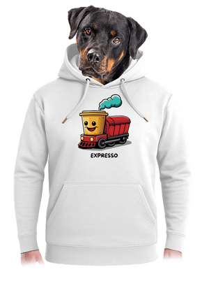 Expresso unisex mikina premium Snowwhite