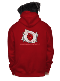 pánská mikina na zip