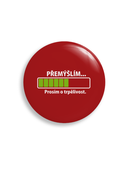 Přemýšlím placka uni