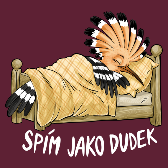 Spím jako dudek