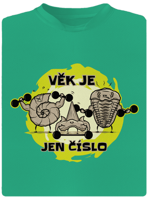 Věk je jen číslo pánské sportovní tričko Mint Mal