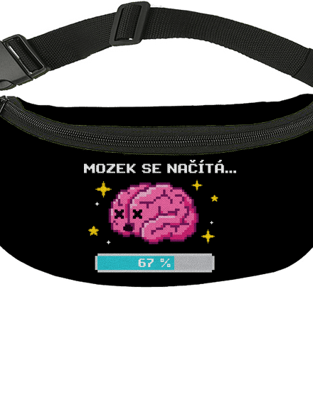Mozek se načítá ledvinka Black