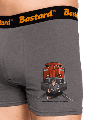 Studentská kolej boxerky Gray Melange