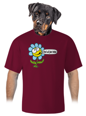 Chci už jen tebe unisex tričko oversized Garnet