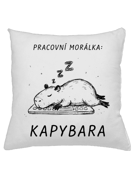 Pracovní morálka polštář White