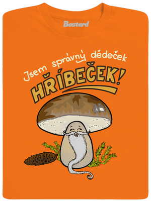 Babka a hříbeček pánské tričko Orange