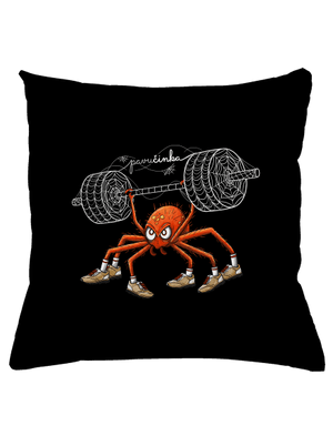 Pavučinka polštář Black