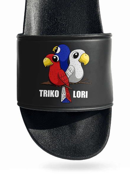 Trikolori pantofle Black