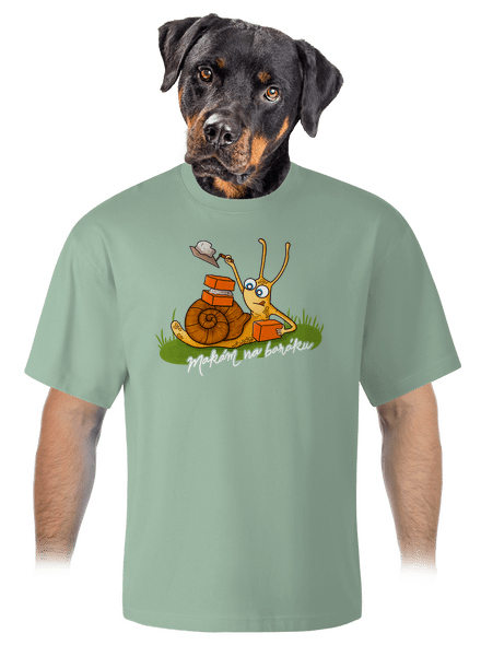 Makám na baráku unisex tričko oversized Sage