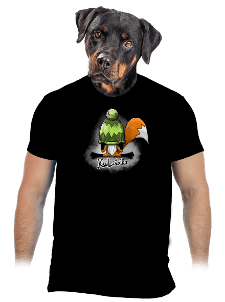 Kulišák pánské tričko Black