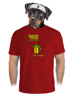 pánské sportovní tričko