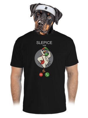 pánské sportovní tričko