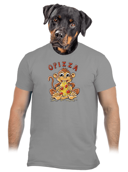 Opizza pánské tričko Sport Grey