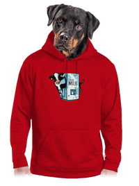 pánská mikina klokanka