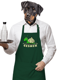 zástěra