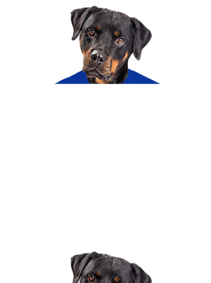 pánské tričko