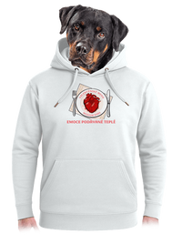 unisex mikina premium