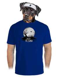 pánské sportovní tričko