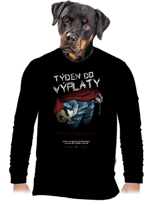 pánské dlouhý rukáv