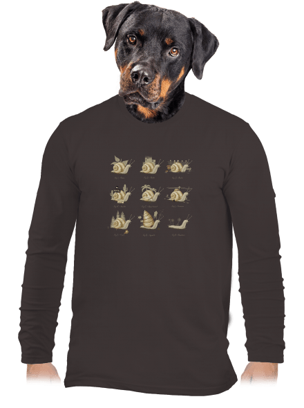 Sladký domov pánské dlouhý rukáv Bear Brown