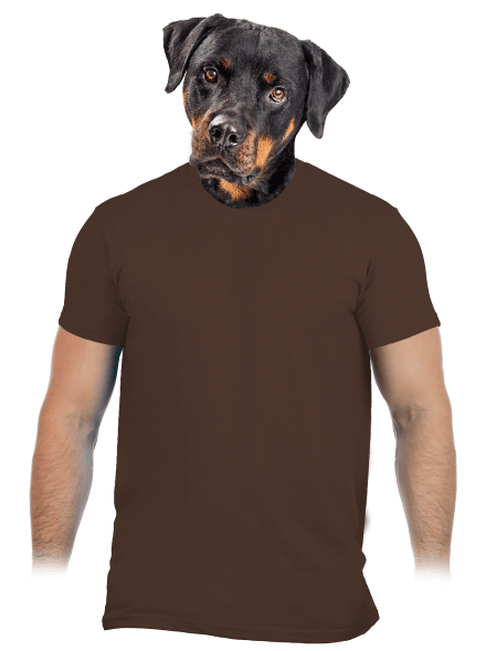 Bez potisku pánské tričko Brown