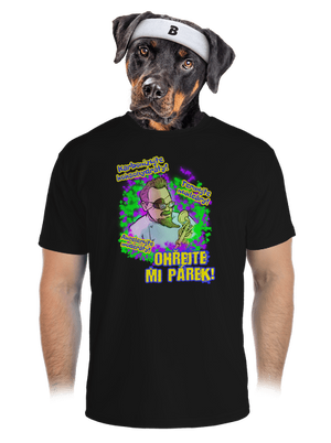 pánské sportovní tričko