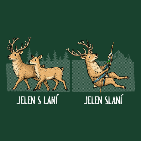 Jelen s laní