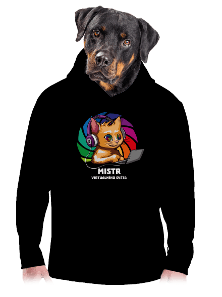 Mistr virtuálního světa pánská mikina klokanka Black