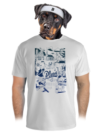 pánské sportovní tričko