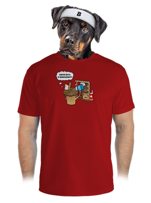 pánské sportovní tričko