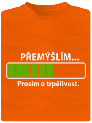 Přemýšlím pánské sportovní tričko Neon Orange