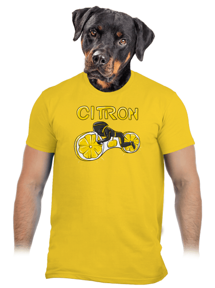 Citron Legacy pánské tričko Gold
