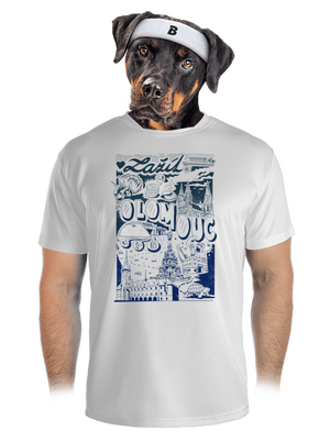 pánské sportovní tričko