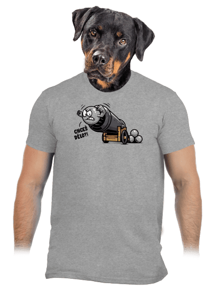 Chceš dělo? pánské tričko Sport Grey