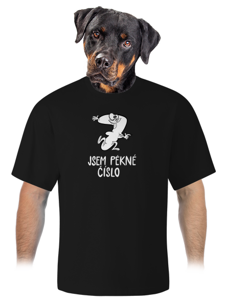 Jsem pěkné číslo unisex tričko oversized Black
