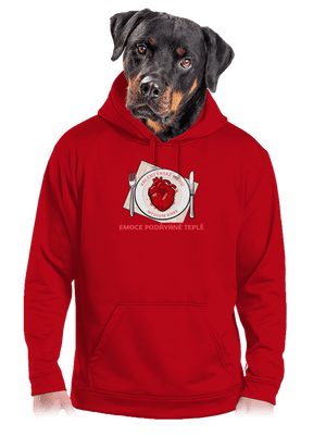 pánská mikina klokanka