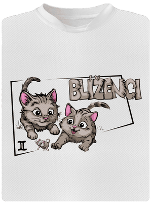 Kočičí horoskop: Blíženci pánské sportovní tričko White