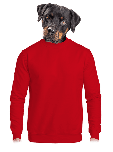 Bez potisku unisex mikina bez kapuce Red