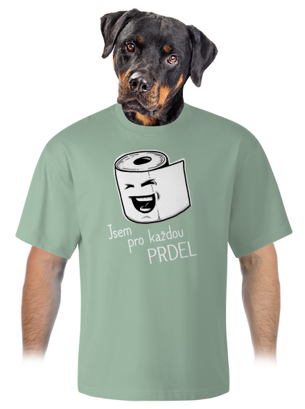 Prdel unisex tričko oversized Sage