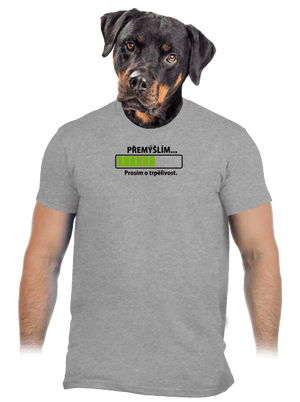 Přemýšlím pánské tričko Sport Grey