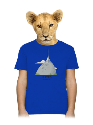 dětské tričko