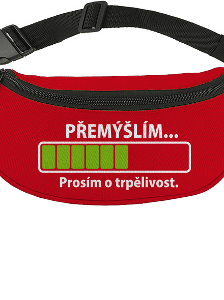 Přemýšlím ledvinka Red