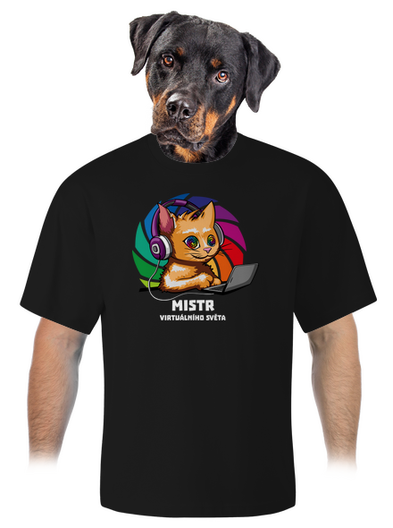Mistr virtuálního světa unisex tričko oversized Black